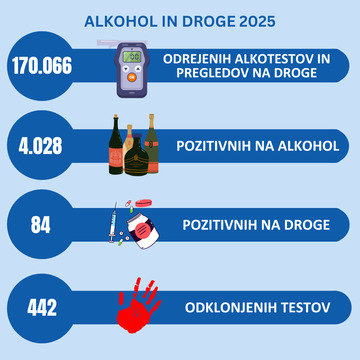 Kopija izdelka INFOGRAFIKA 1.1 (2)